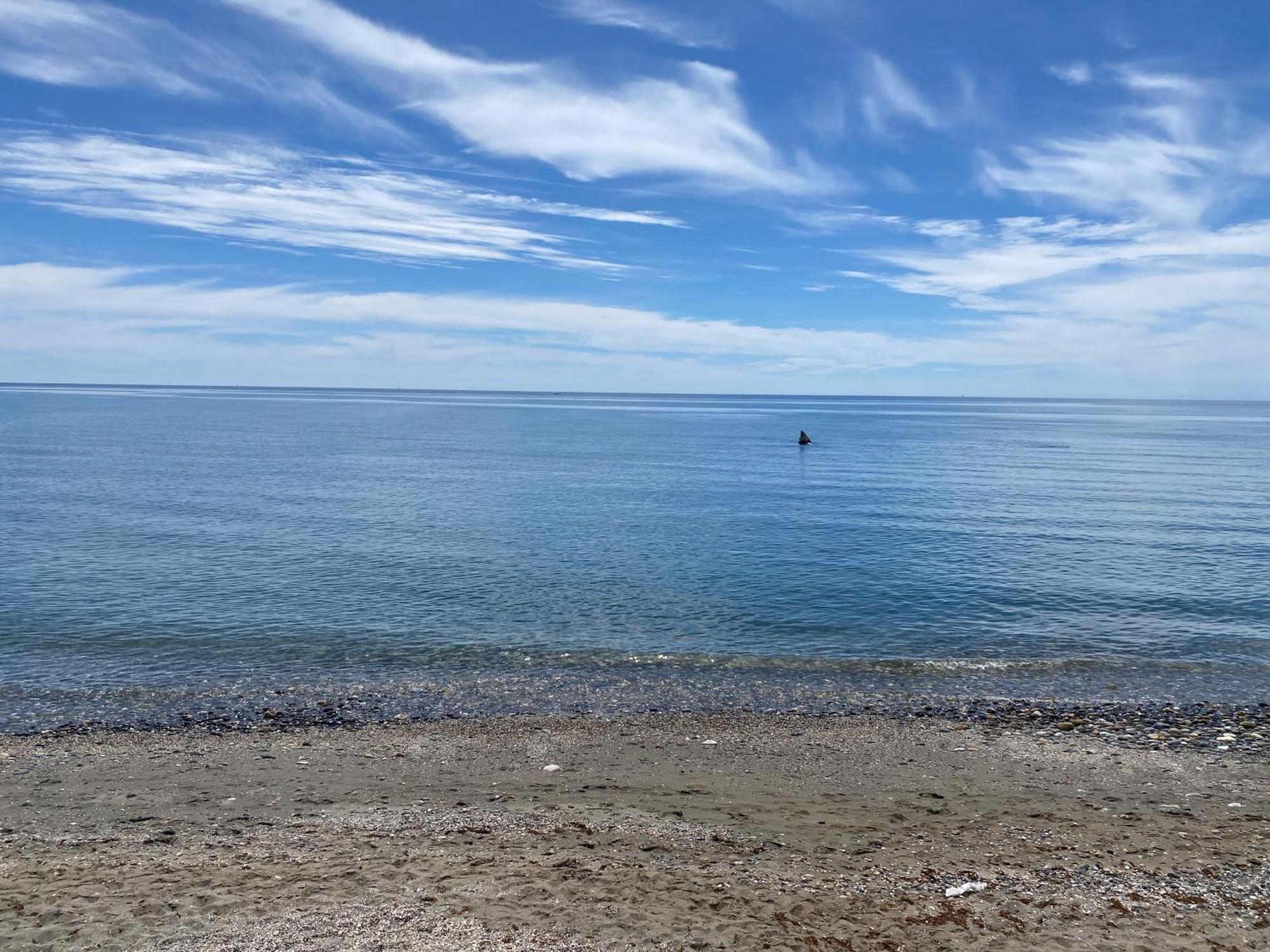 Bahia De Estepona Zewnętrze zdjęcie
